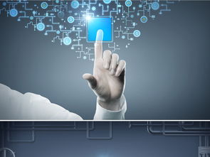 商務(wù)藍(lán)調(diào)與網(wǎng)絡(luò)安全 現(xiàn)代互聯(lián)網(wǎng)宣傳的設(shè)計(jì)之道