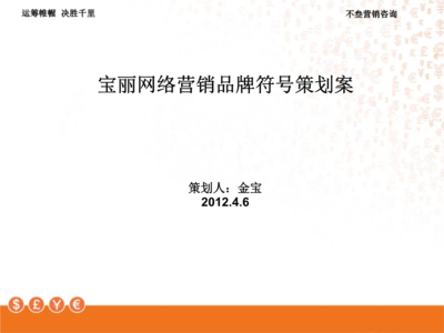 寶麗網(wǎng)絡(luò)營(yíng)銷(xiāo)品牌符號(hào)策劃案