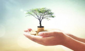 北京個(gè)人設(shè)計(jì)工作室注冊(cè)與運(yùn)營(yíng)全攻略 開(kāi)啟您的專(zhuān)業(yè)設(shè)計(jì)服務(wù)之路